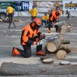 Câştigătorii concursului tăietorilor de lemne