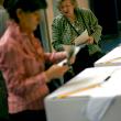 Organizarea simultană a alegerilor ar reduce cheltuielile la jumătate Foto: MEDIAFAX