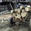 „Transportul lemnelor de foc”