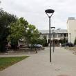 Universitatea „Ştefan cel Mare” din Suceava (USV) vrea să organizeze, în anul universitar 2014-2015, cursuri pentru câteva limbi nordice