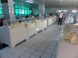 În plină vară, brânza se vinde în Piaţa Mare la tarabă