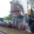 Locomotiva cu abur ”Bucovina” a fost admirată de toţi cei veniţi la târg
