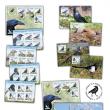 Emisiunea de mărci poștale „Păsări inteligente”