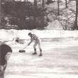 „Trei patinoare la Suceava”
