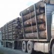 Transporturi problemă de material lemnos, depistate în trafic