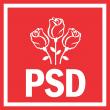 PSD Suceava va avea una dintre cele mai numeroase delegații la Congresul Național extraordinar al partidului