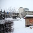 Universitatea „Ștefan cel Mare” Suceava (USV)