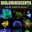 Lecţia muzeală „Bioluminiscența în lumea vie”, la Muzeul de Ştiințele Naturii
