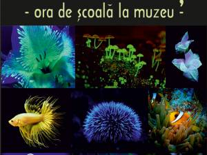 Lecţia muzeală „Bioluminiscența în lumea vie”, la Muzeul de Ştiințele Naturii