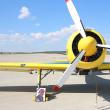Avioanele au rămas la sol, având alături portretul comandorului Cornel Marinescuâ