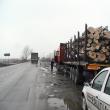 Activiștii de mediu din Suceava sunt tot mai prezenți – camioane cu lemn oprite zilnic