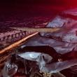 Mașina, distrusă în urma impactului cu atelajul şi lemnele