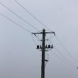 Sucevenii pot să anunțe întreruperile de energie electrică direct pe site-ul Delgaz Grid
