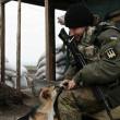 Ajutor și pentru adăpostirea animalelor care sunt aduse din Ucraina