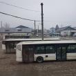 Nouă autobuze de la TPL, puse să transporte refugiații de la Vama Siret la Aeroportul Suceava
