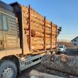 Camion încărcat cu lemn de rășinoase, fără aviz de însoțire din SUMAL 2.0, depistat de Garda Forestieră la Mălini
