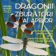 Lecția de muzeu „Dragonii zburători ai apelor - libelulele”, la Muzeul de Științele Naturii