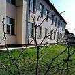 Activitățile extrașcolare - spațiu al învățării vizibile la Zamostea