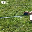 Comandă online extrasul de plan cadastral pe ortofotoplan. Iată unde și cum!