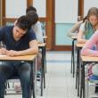 Premii în bani pentru elevii merituoși