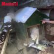 Oamenii străzii din Suceava și-au găsit adăpost sub pământ, alungați de gerul năpraznic