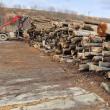 Cantități mari de lemn din afara circuitului legal, descoperite la depozite din Putna și Vicovu de Sus