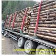Sute de transporturi fictive de lemn din Ungaria spre Broșteni, descoperite și sancționate de Garda Forestieră Suceava