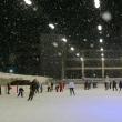 Patinoarul Areni a început noul an cu tarife majorate, dar și cu puzderie de amatori de distracție pe gheață