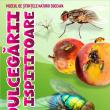 Lecția de muzeu „Dulcegării ispititoare”, la Muzeul de Științele Naturii