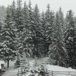 Iarna s-a reîntors în zonele montane din județul Suceava