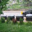 Gunoi aruncat din mașină, la un punct de colectare a deșeurilor - exemplu negativ dat de Primăria Suceava