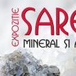 Expoziția „Sarea – mineral și aliment”
