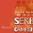 Serbare câmpenească, la 89 de ani de la înființarea Muzeului Arta Lemnului din Câmpulung Moldovenesc