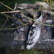 O mașină care a lovit un cap de pod s-a răsturnat și a luat foc