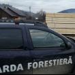 Amenzi de 940.500 de lei și confiscări de 765.700 de lei făcute de Garda Forestieră Suceava în primele cinci luni ale anului