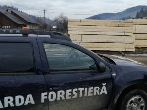 Amenzi de 940.500 de lei și confiscări de 765.700 de lei făcute de Garda Forestieră Suceava în primele cinci luni ale anului