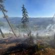 Peste 40 de pompieri militari și silvicultori s-au luptat miercuri până târziu în noapte cu un incendiu în fondul forestier la Sadova