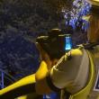 Un șofer de BMW prins de radar cu 113 km/h în localitate nu avea nici permis de conducere