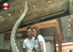 Ţestoase carnivore şi şerpi de peste 5 metri, pe culoarele Shopping City Suceava