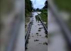Trafic feroviar blocat de ape între Frasin și Gura Humorului